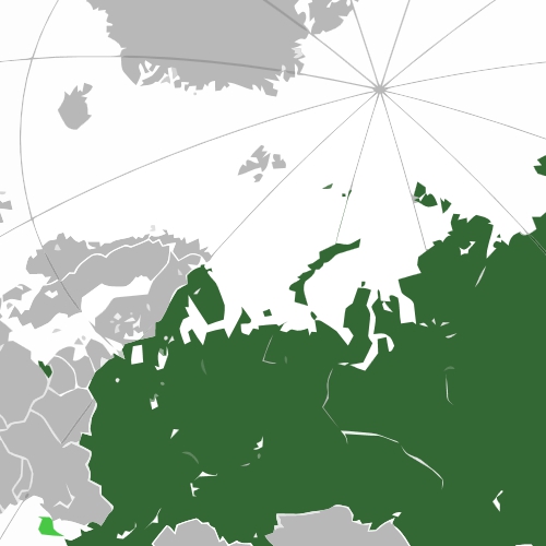 La Russia fuori dalla rete web: il sogno dell’autarchia digitale del Cremlino