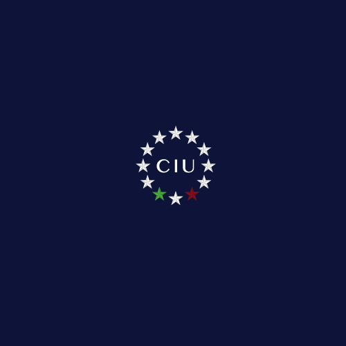 Alfabetizzazione digitale e sicurezza delle informazioni: avviata una stabile collaborazione tra il CNEL e la CIU-Unionquadri