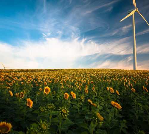 Sviluppo energie rinnovabili: ecco i punti del nuovo accordo